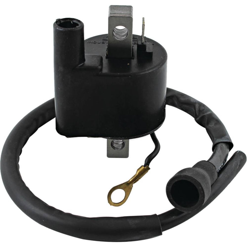 Arrowhead - Ignition Coil Polaris - Superseded from 6-IPO0001 (6-16001049)