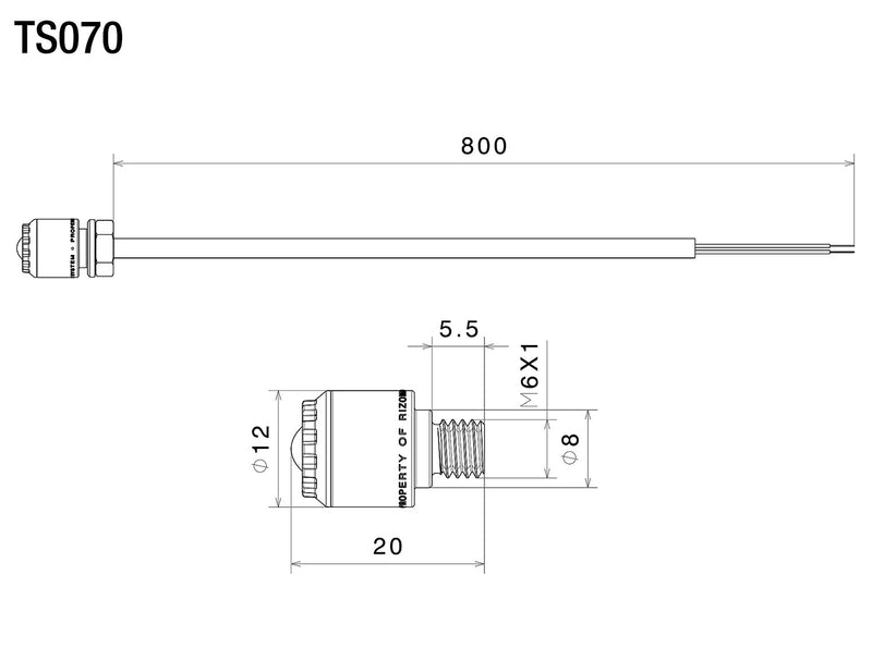Rizoma Light Unit Indicators (TS070BM)