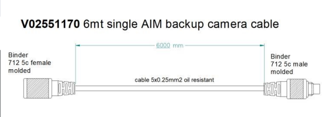 AIM Mirror / Reverse Camera