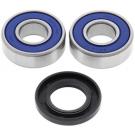 AllBalls Racing Wheel Bearing and Seal Kit