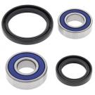 AllBalls Racing Wheel Bearing and Seal Kit