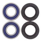 AllBalls Racing Wheel Bearing and Seal Kit